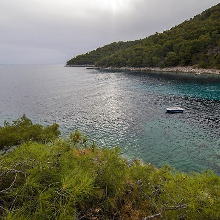 Secluded Fisherman'S Cottage Cove Skozanje, Hvar - 4009 Gdinj Экстерьер фото